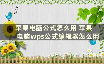 苹果电脑公式怎么用 苹果电脑wps公式编辑器怎么用